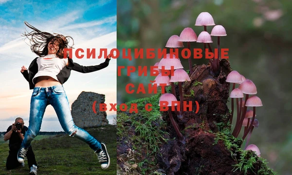 Альфа ПВП Алзамай