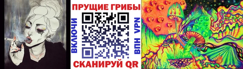 Галлюциногенные грибы Cubensis Торжок